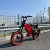 48V 750W 1000W e Bike Double Disc Brake Full Suspension Fat Tire Bike