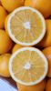 Fresh Oranges, Fresh Valencia Oranges and Navel Oranges High Quality Low Price