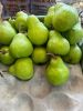 Fresh Pears, Premium Sweet Pears, Packams Triumph Pears, Forelle Pears, Bon Rouge Pears