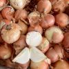 Premium Fresh Onions, White Onions, Red Onions, Clean Fresh Big Onions