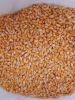 Yellow Corn