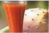 Prickly Pear Puree 