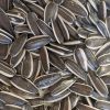 bulk sale sunflower se...