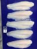 Pangasius fillet 