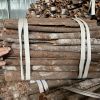 Whole Tube Cassia Cinn...