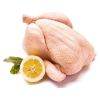 Factory Price Brazilian Frozen Chicken Halal Certified Frozen Whole Chicken Chicken Wings, Feet and Paws Ready for Export