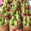 Buy Fresh Red Apple (Box) , Hot Sale Export Quality Fresh Apples New Crop Natural Gala Apple - Green Apple, 