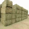 Quality Alfalfa Hay/Timothy Hay and Bermuda Hay Stock|