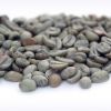 Premium Dried Cocoa Beans - Buy High-Quality Cocoa in Bulk| Cocoa Bean Stock 