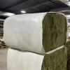 Quality Alfalfa Hay/Timothy Hay and Bermuda Hay Stock|