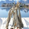 Dried Norwegian Stock Fish & Cod Heads/cod, Dried Cod Fish, Dried Stockfish, Dried Maw Fish 