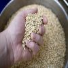  Organic Hulled Barley Grain (4.8lb) - Whole Barley Groat Seed Bulk - Great for Soup, Flour, Cereal, Home Brewing,
