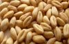  Soft Milling Wheat &a...