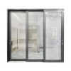 Aluminum Alloy Double Tempered Glass Sliding Door