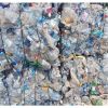 Top Quality Pure Recycled Plastic Scrap Flakes/ PET Bottle Scrap / hdpe milk bottle scrap