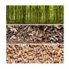 Manufacturer Pine Fuel Pellets 6-8 Mm Eco Friendly Solid Fuel Wood Pellets