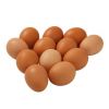 Buy Brown/White Chicken Table Eggs With Delicious Taste, Bulk Farm Fresh Chicken Table Eggs Quality Cheap In Stock Fair Price