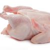 Whole Chicken Frozen / Halal Chicken Feet / Frozen Chicken Paws Brazil