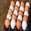 Buy Brown/White Chicken Table Eggs With Delicious Taste, Bulk Farm Fresh Chicken Table Eggs Quality Cheap In Stock Fair Price