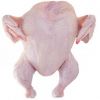 Brazilian frozen whole Chicken chicken legs and chicken wings/ Halal Chicken Paws, chicken feet for export