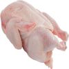 Top Quality Halal Frozen Chicken Gizzards chicken Gizzard Whole Chicken / Chicken Offals / Chicken Gizzards supplier