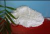 Food Additive Nahco3 Sodium Bicarbonate Baking Soda, cas 144-55-8