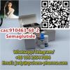Highest grade purity 99% peptides factory price Cas 910463-68-2 Semaglutide