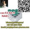 Highest grade purity 99% factory price high quality Cas 53-84-9 NAD+