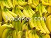 Cavendish Banana Avail...