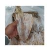 Dried Squid 
