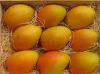 Fresh Indian Mangoes