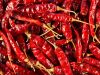 TEJA DELUXE RED CHILLI...