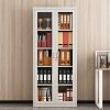 Modern Full Glass Steel File Cabinet 2 Swing Door Metal Office Furniture for Home Office Warehouse Hotel Storage