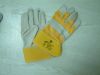 Protective Glove