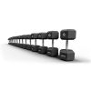 QLI HEXAGON DUMBBELL S...