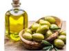 High Quality Cold Press Extra Virgin Olive Oil Bulk Sale