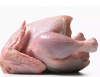 Halal Certified Frozen Whole Chicken For Sale Wholesale Frozen Halal Whole Chicken Frozen