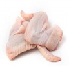 Best brazile Halal Certified Frozen Chicken wings For Sale Wholesale Frozen