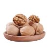 Peeled Kernel Walnuts High Quality Walnut Kernel Brazil Supplier Low Price Light Halves Walnut Kernels