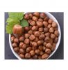 Hot selling Raw Hazelnut / Organic Grade Hazelnut/Hazel Nuts for sale