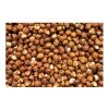 Hot selling Raw Hazelnut / Organic Grade Hazelnut/Hazel Nuts for sale