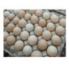 Best Quality Fresh Brown Table Chicken Eggs Cheap Fresh Chicken Table Eggs Fresh Chicken in bulk Brown Eggs