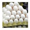 Best Quality Fresh Brown Table Chicken Eggs Cheap Fresh Chicken Table Eggs Fresh Chicken in bulk Brown Eggs