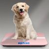 Accurate Bathroom Scale Household Electronic Scale Measures Weight Up To 396 Lbs, UNTI:KG/LB