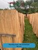 Eucalyptus and Acacia core veneer
