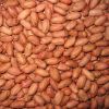 peanut kernels