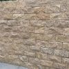 Tiger skin Yellow cultured stone mushroom surface for garden