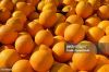 navel oranges