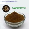 Raspberry P.E/The rasp...