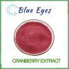 Cranberry P.E./Cranberry Extract